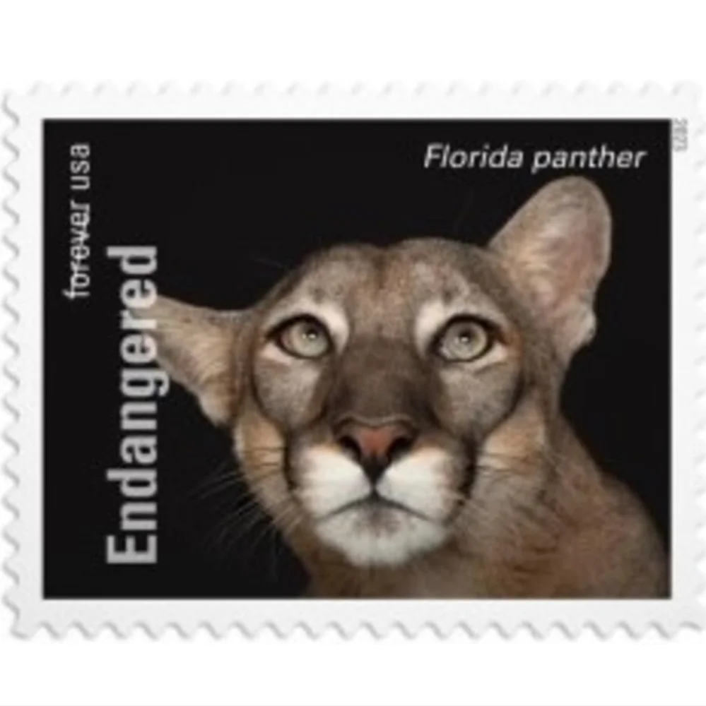 100 Forever Stamps‎ Endangered Species Animals Stamp USPS Postage Mail